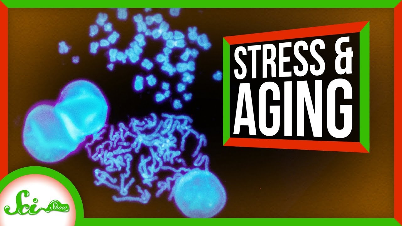 酸化ストレスは人体にどんな影響を与えているのか？
