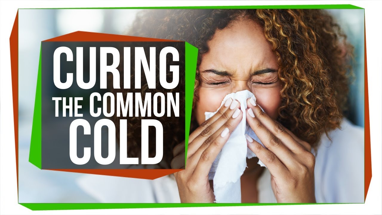 いかに「ごく普通の風邪」の脅威と戦うか　抗ウイルス剤をめぐる試行錯誤
