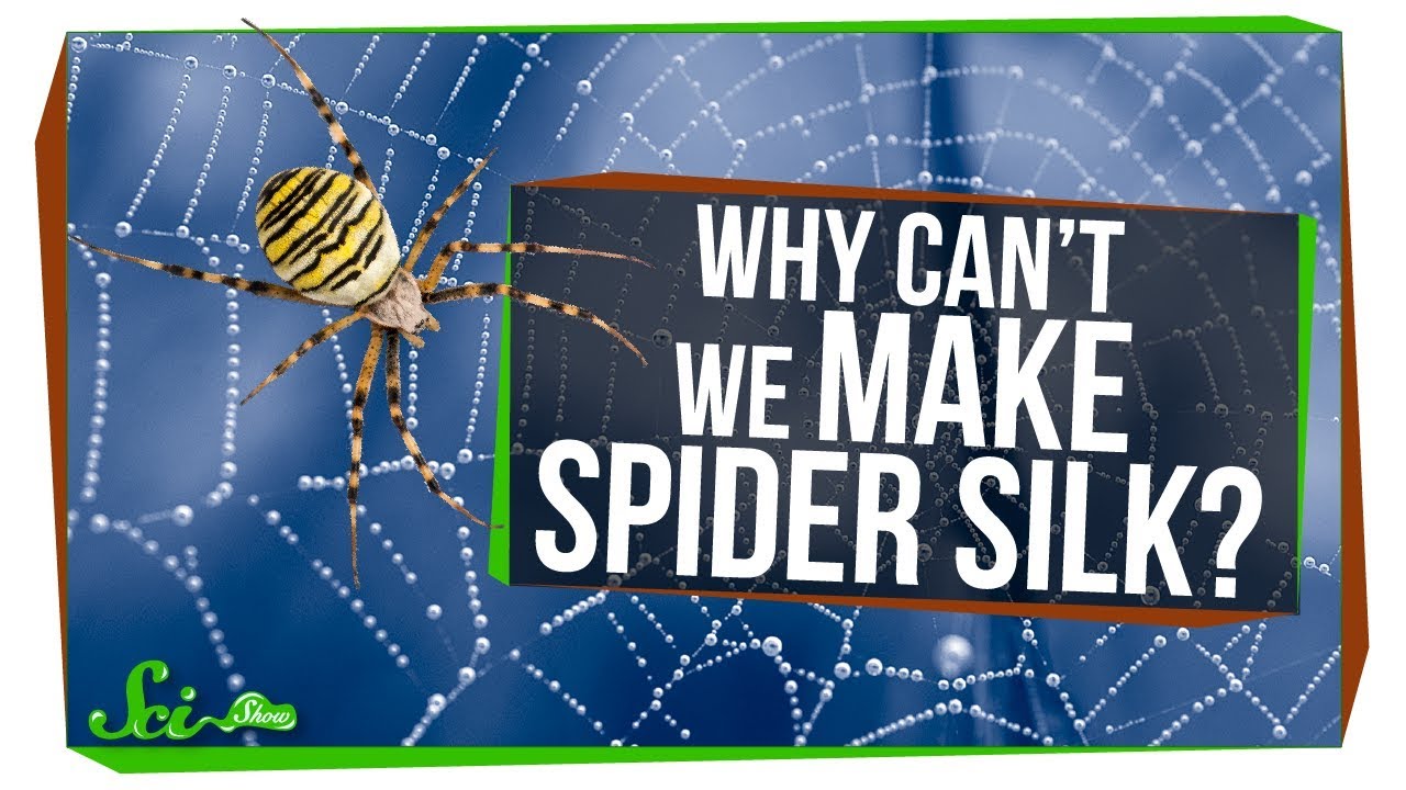 クモの糸で「絹」を作ることは可能なのか？
