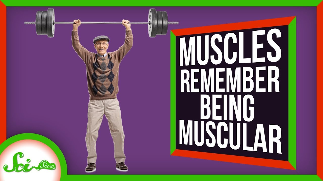 鍛えた筋肉は裏切らない　若いころの筋トレの効果が老後まで続く事実