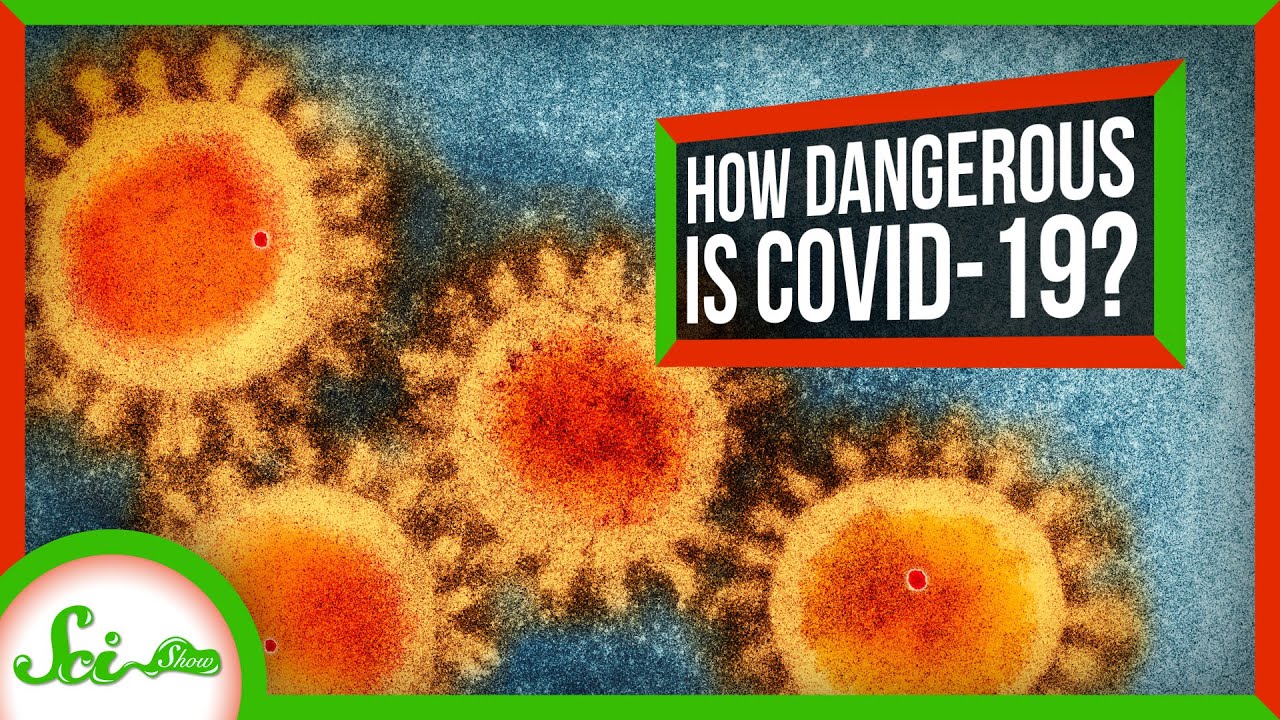 新型コロナウイルスはどれほど危険なのか？　いま、私たち個人が行うべきこと