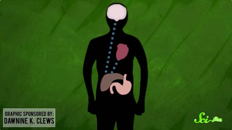人は食事をしないとどうなるか 餓死に至る3つのステップ