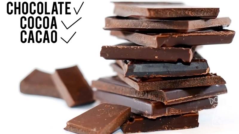 チョコレートの成分と科学的効果を解説 ログミーbiz