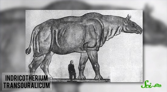 史上最大の恐竜は全長60メートル　現代の陸上生物が巨大にならない理由