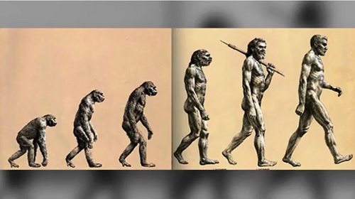 教科書のウソ 人類の進化を表す あの図 は間違いだった ログミーbiz