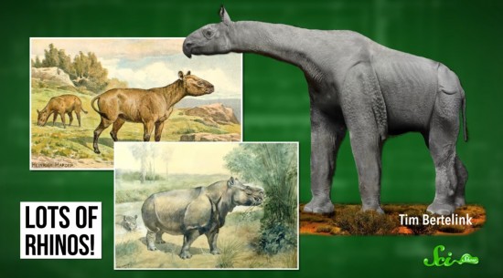 恐竜の絶滅後 なにが起こった 地球の生態系の歴史を振り返る ログミーbiz