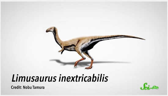 恐竜の歯が鳥類のくちばしに? 科学史における大ニュース
