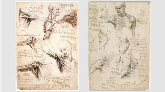 ダ ヴィンチ 足は人間工学上の最高傑作である アートにおける人体解剖の歴史 ログミーbiz