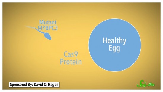 医療の常識を変える? ゲノム編集技術CRISPR(クリスパー)