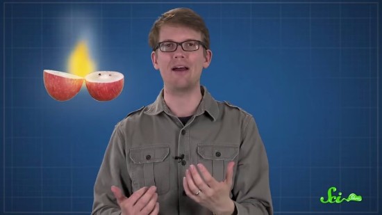 電子レンジでプラズマを作ることは可能か?
