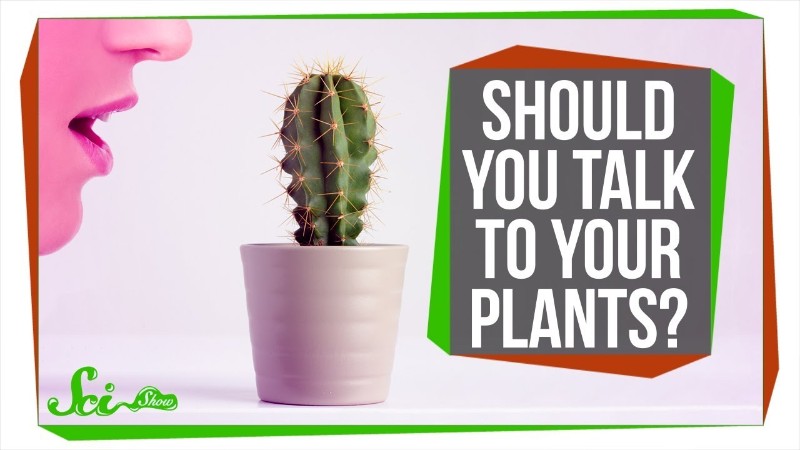 植物に話しかけるとよく育つ は本当か ログミーbiz