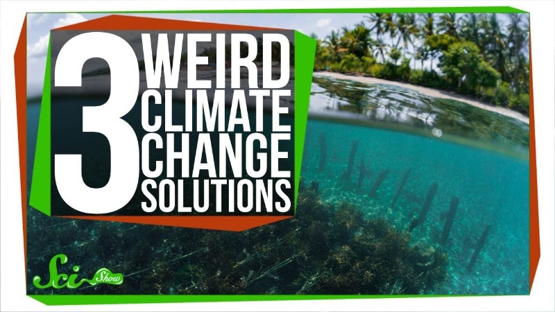 海藻や人工樹木が地球を救う？　CO2削減のためのプロジェクトたち