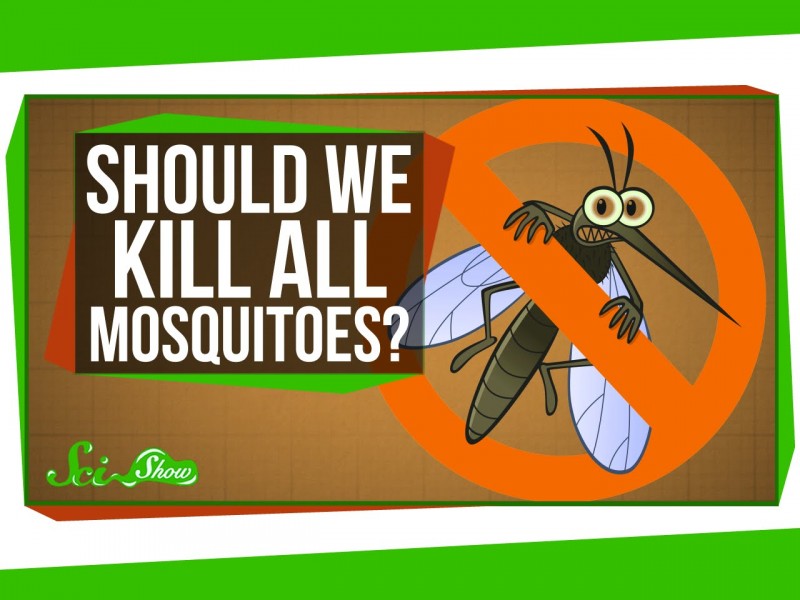 人類がすべての蚊を絶滅させたらどうなるか？