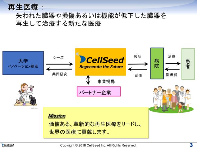 cellseed (3)